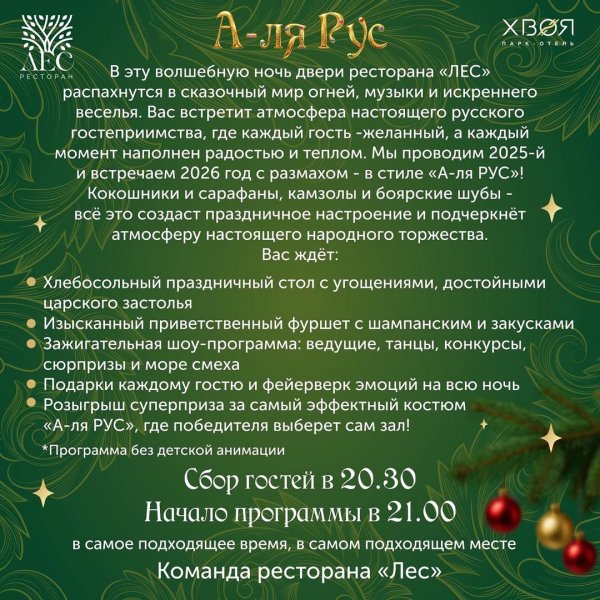 Новый год в парк-отеле Хвоя